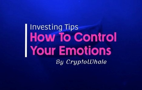 چگونه احساسات خود را هنگام انجام معاملات کنترل کنیم؟ ۱۲ توصیه کاربردی Mr.Whale در این باره